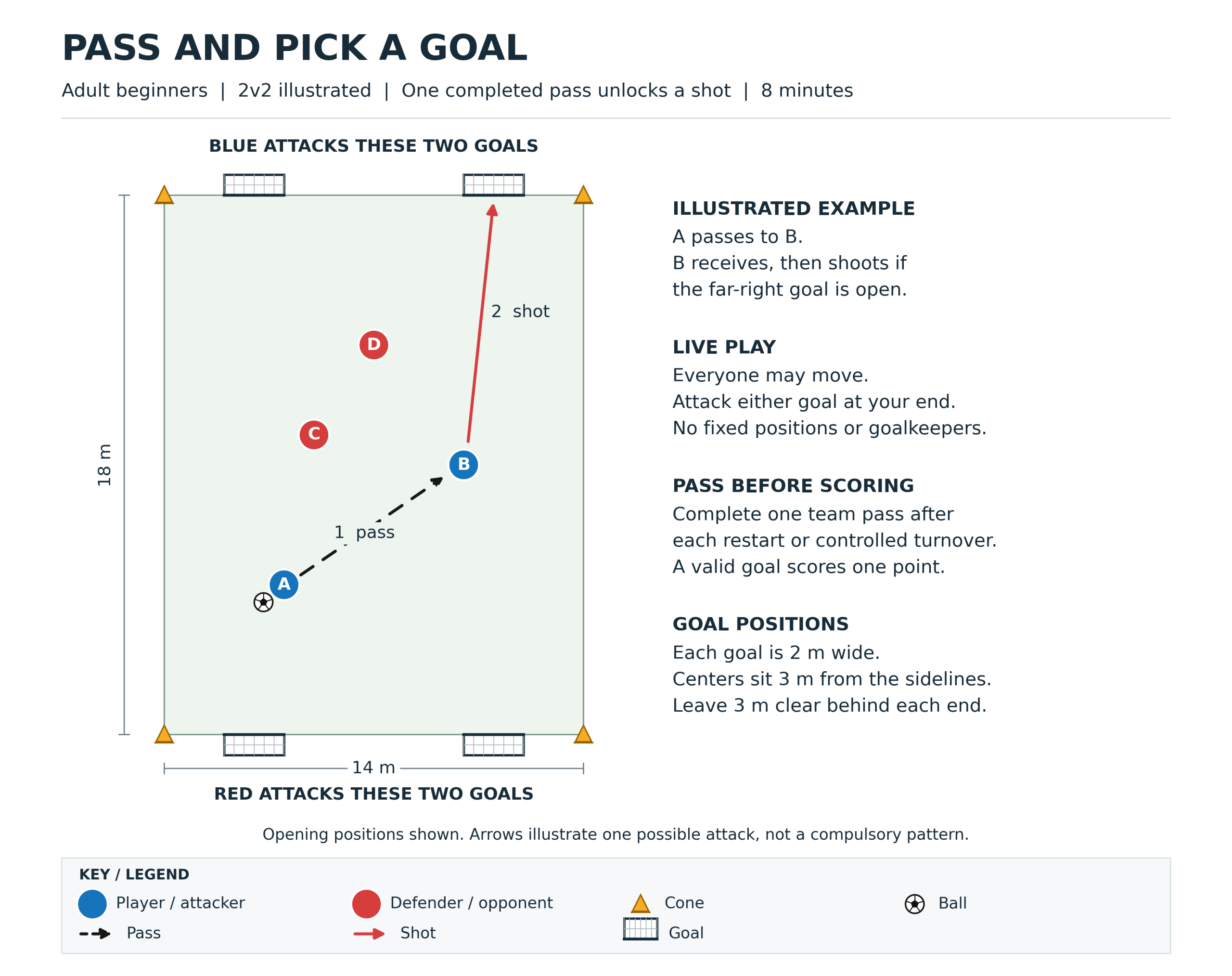 soccer drills